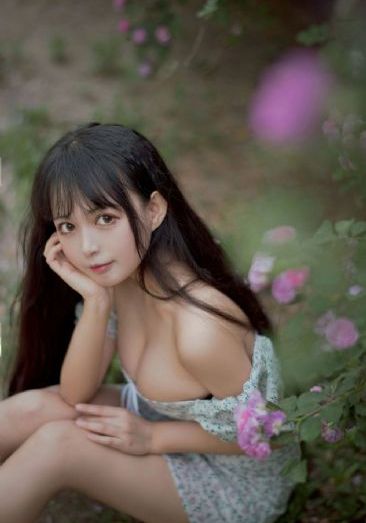 解密电视剧全集